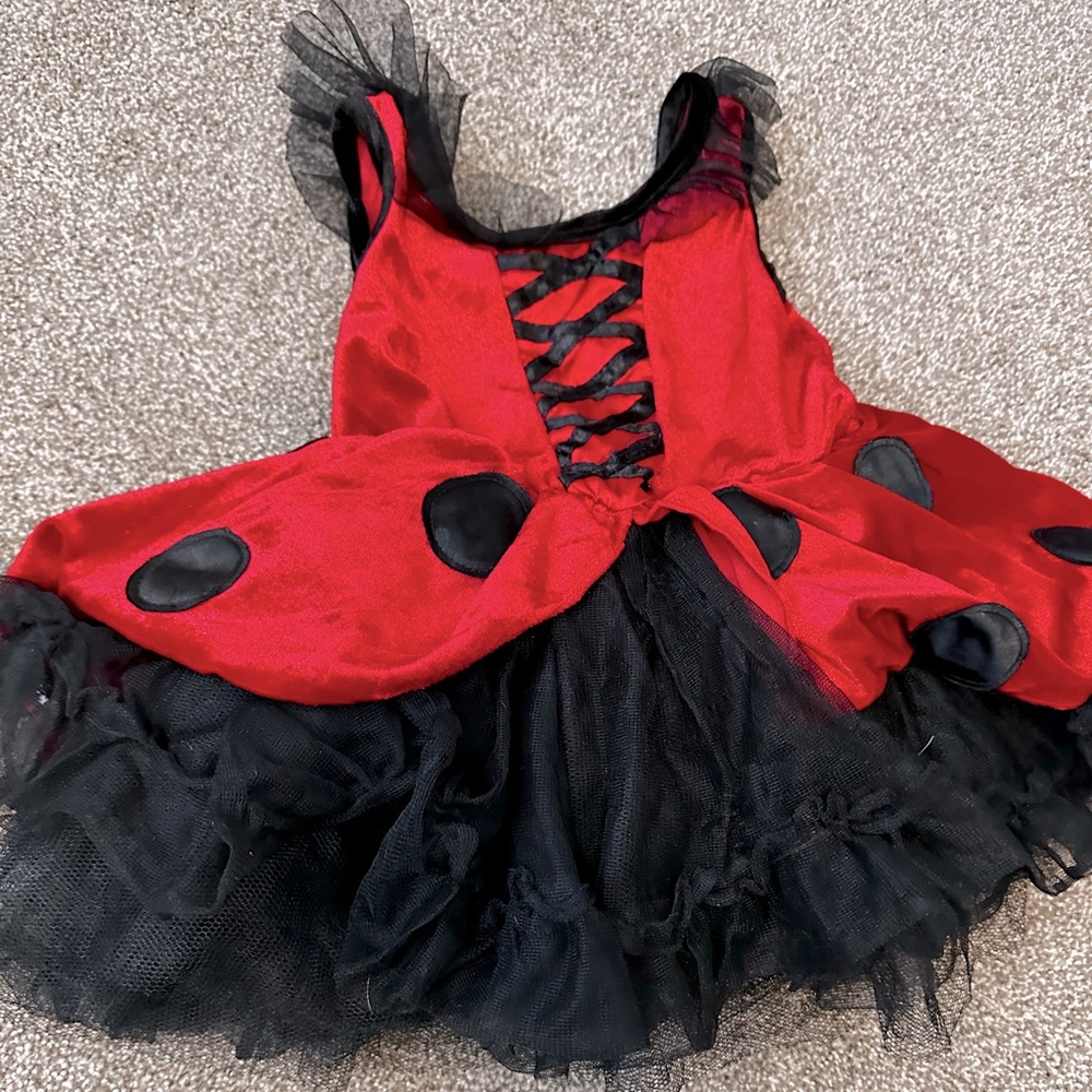 Lady Bug kids costume